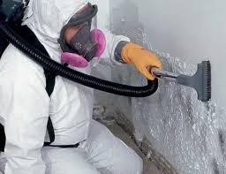 Best Commercial Mold Inspection  in Oconto, WI